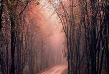 探索天涯社区在线网站：一个温暖的网络大家庭，充满了有趣的讨论和真实的互动！