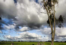 探秘成都义散的天涯社区