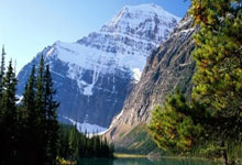 探索8x8x海角天涯社区的神奇生活！