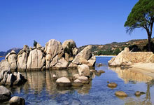 探索8x8x海角天涯社区的神奇生活！